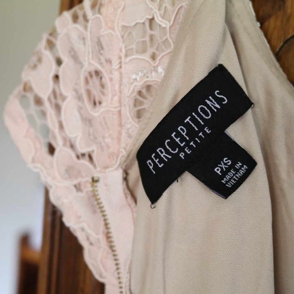 PERCEPTIONS New York Blush Nude Lace Sheath Dress - NWT! - Picture 13 of 16
